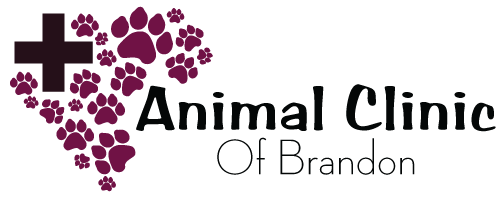 Animal Clinic Of Brandon